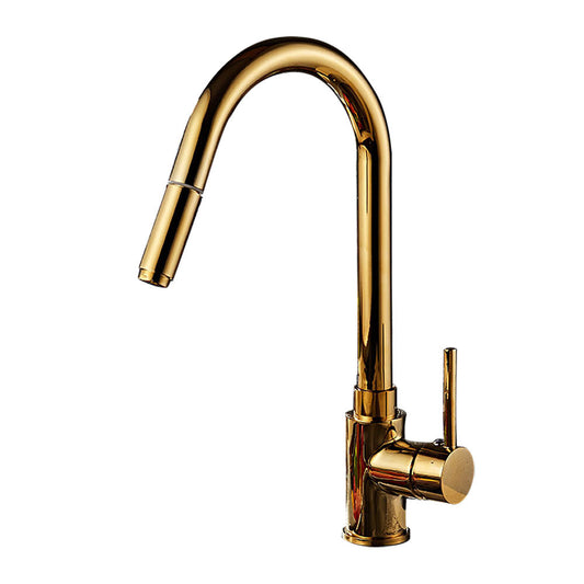 Single Hole Kitchen Faucet Metal Pull down Sprayer Kitchen Faucet with Lever Handle Clearhalo 'Home Improvement' 'home_improvement' 'home_improvement_kitchen_faucets' 'Kitchen Faucets' 'Kitchen Remodel & Kitchen Fixtures' 'Kitchen Sinks & Faucet Components' 'kitchen_faucets' 7050789