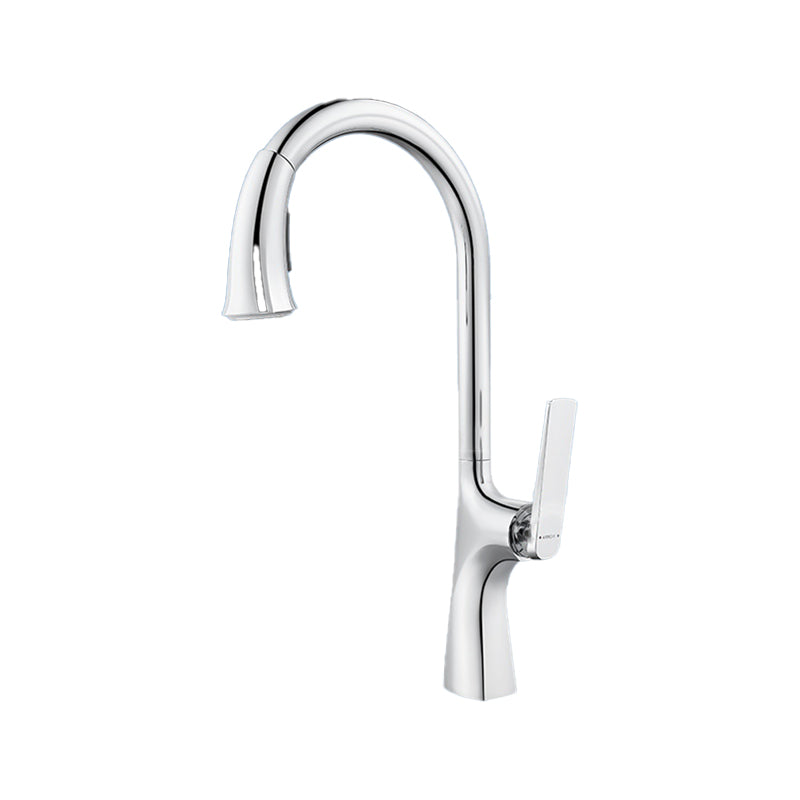 High Arch Kitchen Faucet Stainless Steel Kitchen Faucet with No Sensor Silver Straight Pull-Out Faucet Clearhalo 'Home Improvement' 'home_improvement' 'home_improvement_kitchen_faucets' 'Kitchen Faucets' 'Kitchen Remodel & Kitchen Fixtures' 'Kitchen Sinks & Faucet Components' 'kitchen_faucets' 7078693