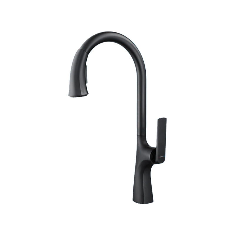 High Arch Kitchen Faucet Stainless Steel Kitchen Faucet with No Sensor Black Straight Pull-Out Faucet Clearhalo 'Home Improvement' 'home_improvement' 'home_improvement_kitchen_faucets' 'Kitchen Faucets' 'Kitchen Remodel & Kitchen Fixtures' 'Kitchen Sinks & Faucet Components' 'kitchen_faucets' 7078696