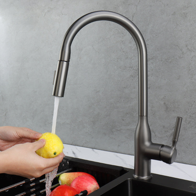Classic Sink Faucet Metal Solid Color Standard Kitchen Faucet Clearhalo 'Home Improvement' 'home_improvement' 'home_improvement_kitchen_faucets' 'Kitchen Faucets' 'Kitchen Remodel & Kitchen Fixtures' 'Kitchen Sinks & Faucet Components' 'kitchen_faucets' 7078749