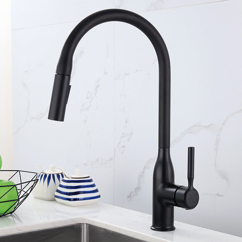 Classic Sink Faucet Metal Solid Color Standard Kitchen Faucet Black Clearhalo 'Home Improvement' 'home_improvement' 'home_improvement_kitchen_faucets' 'Kitchen Faucets' 'Kitchen Remodel & Kitchen Fixtures' 'Kitchen Sinks & Faucet Components' 'kitchen_faucets' 7078750