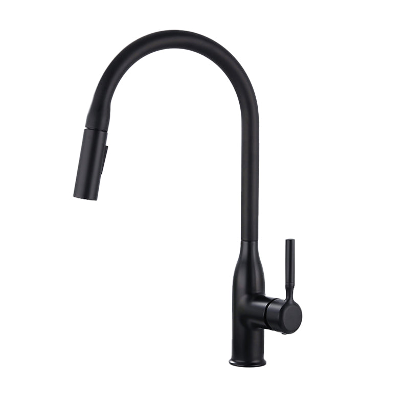 Classic Sink Faucet Metal Solid Color Standard Kitchen Faucet Clearhalo 'Home Improvement' 'home_improvement' 'home_improvement_kitchen_faucets' 'Kitchen Faucets' 'Kitchen Remodel & Kitchen Fixtures' 'Kitchen Sinks & Faucet Components' 'kitchen_faucets' 7078756