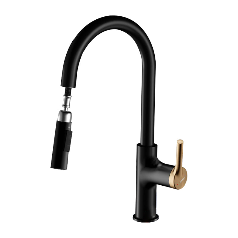 Traditional Kitchen Faucet Solid Color Standard Kitchen Faucet Black Dual Mode Clearhalo 'Home Improvement' 'home_improvement' 'home_improvement_kitchen_faucets' 'Kitchen Faucets' 'Kitchen Remodel & Kitchen Fixtures' 'Kitchen Sinks & Faucet Components' 'kitchen_faucets' 7080819