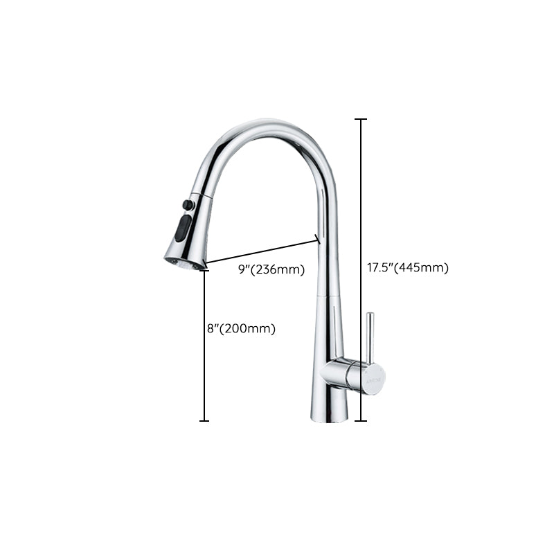 Traditional Kitchen Faucet Solid Color Standard Kitchen Faucet Clearhalo 'Home Improvement' 'home_improvement' 'home_improvement_kitchen_faucets' 'Kitchen Faucets' 'Kitchen Remodel & Kitchen Fixtures' 'Kitchen Sinks & Faucet Components' 'kitchen_faucets' 7080822