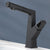 Bathroom Sink Faucet Lifting Lever Handle Pull-out Rotary Handle Faucet Black Clearhalo 'Bathroom Remodel & Bathroom Fixtures' 'Bathroom Sink Faucets' 'Bathroom Sinks & Faucet Components' 'bathroom_sink_faucets' 'Home Improvement' 'home_improvement' 'home_improvement_bathroom_sink_faucets' 7098689