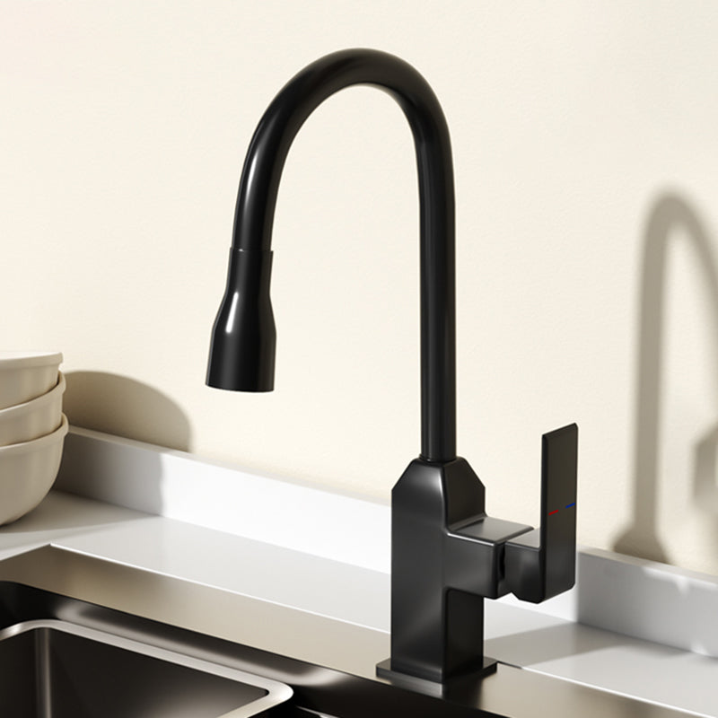 Modern Pull Down Pot Filler One Handle High Profile Filler with Sprayer Black Clearhalo 'Home Improvement' 'home_improvement' 'home_improvement_kitchen_faucets' 'Kitchen Faucets' 'Kitchen Remodel & Kitchen Fixtures' 'Kitchen Sinks & Faucet Components' 'kitchen_faucets' 7098742