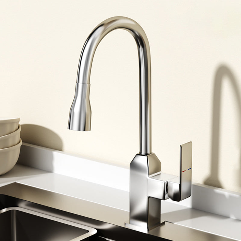 Modern Pull Down Pot Filler One Handle High Profile Filler with Sprayer Silver Clearhalo 'Home Improvement' 'home_improvement' 'home_improvement_kitchen_faucets' 'Kitchen Faucets' 'Kitchen Remodel & Kitchen Fixtures' 'Kitchen Sinks & Faucet Components' 'kitchen_faucets' 7098745