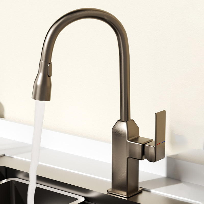 Modern Pull Down Pot Filler One Handle High Profile Filler with Sprayer Clearhalo 'Home Improvement' 'home_improvement' 'home_improvement_kitchen_faucets' 'Kitchen Faucets' 'Kitchen Remodel & Kitchen Fixtures' 'Kitchen Sinks & Faucet Components' 'kitchen_faucets' 7098750
