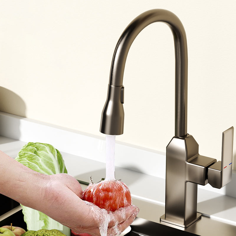 Modern Pull Down Pot Filler One Handle High Profile Filler with Sprayer Clearhalo 'Home Improvement' 'home_improvement' 'home_improvement_kitchen_faucets' 'Kitchen Faucets' 'Kitchen Remodel & Kitchen Fixtures' 'Kitchen Sinks & Faucet Components' 'kitchen_faucets' 7098751