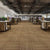Carpet Tiles Solid Color Stain Resistant Multi Level Loop Indoor Carpet Tiles Light Yellow 107.6 sq ft. - 40 Pieces Clearhalo 'Carpet Tiles & Carpet Squares' 'carpet_tiles_carpet_squares' 'Flooring 'Home Improvement' 'home_improvement' 'home_improvement_carpet_tiles_carpet_squares' Walls and Ceiling' 7110344