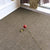 Self Adhesive Carpet Tiles Non-Skid Carpet Tiles for Living Room and Bedroom Light Khaki Asphalt Clearhalo 'Carpet Tiles & Carpet Squares' 'carpet_tiles_carpet_squares' 'Flooring 'Home Improvement' 'home_improvement' 'home_improvement_carpet_tiles_carpet_squares' Walls and Ceiling' 7110717