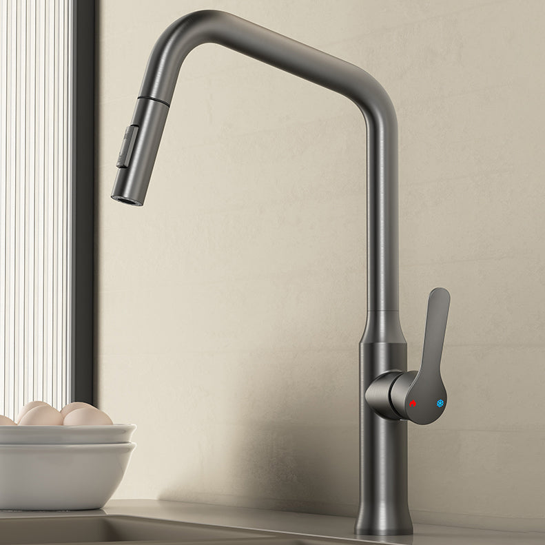Swivel Spout Kitchen Sink Faucet 304 Stainless Steel with Pull Out Sprayer Clearhalo 'Home Improvement' 'home_improvement' 'home_improvement_kitchen_faucets' 'Kitchen Faucets' 'Kitchen Remodel & Kitchen Fixtures' 'Kitchen Sinks & Faucet Components' 'kitchen_faucets' 7110835