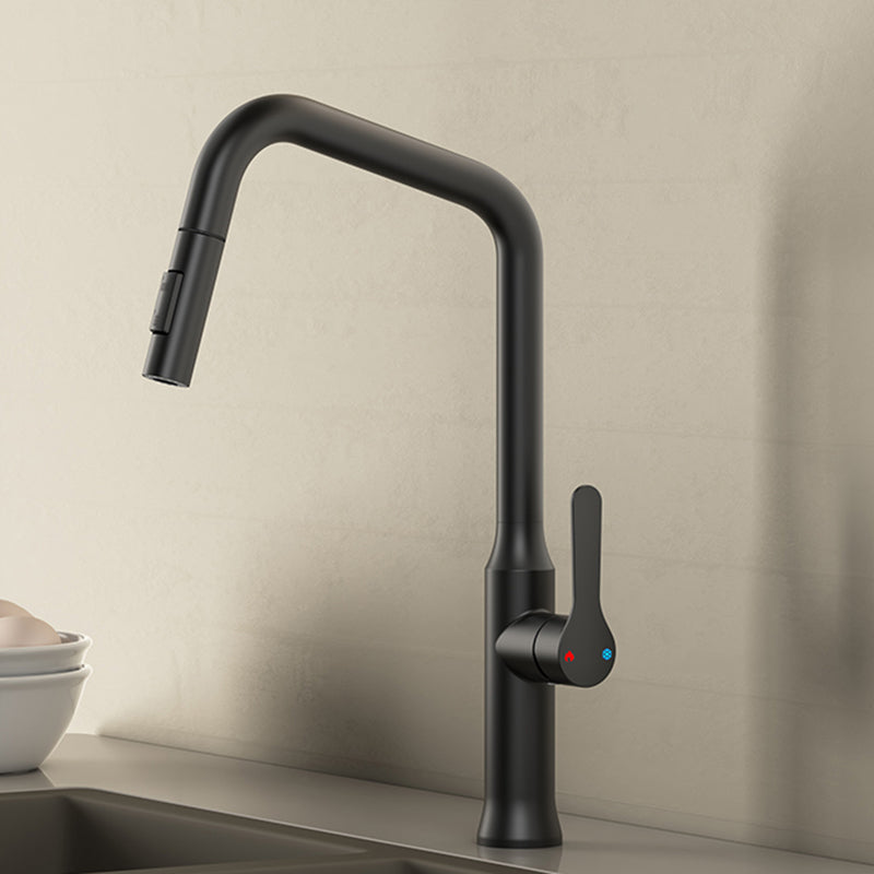 Swivel Spout Kitchen Sink Faucet 304 Stainless Steel with Pull Out Sprayer Black Clearhalo 'Home Improvement' 'home_improvement' 'home_improvement_kitchen_faucets' 'Kitchen Faucets' 'Kitchen Remodel & Kitchen Fixtures' 'Kitchen Sinks & Faucet Components' 'kitchen_faucets' 7110837