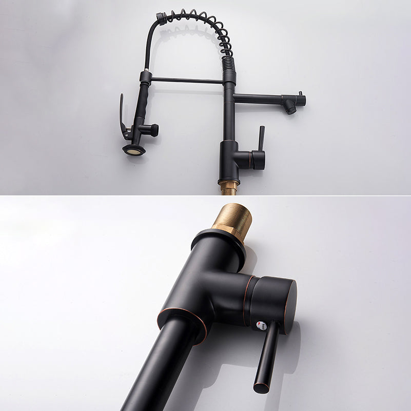 Modern Farmhouse Spring Spout Kitchen Sink Faucet Gooseneck with Pull Down Sprayer Clearhalo 'Home Improvement' 'home_improvement' 'home_improvement_kitchen_faucets' 'Kitchen Faucets' 'Kitchen Remodel & Kitchen Fixtures' 'Kitchen Sinks & Faucet Components' 'kitchen_faucets' 7110872