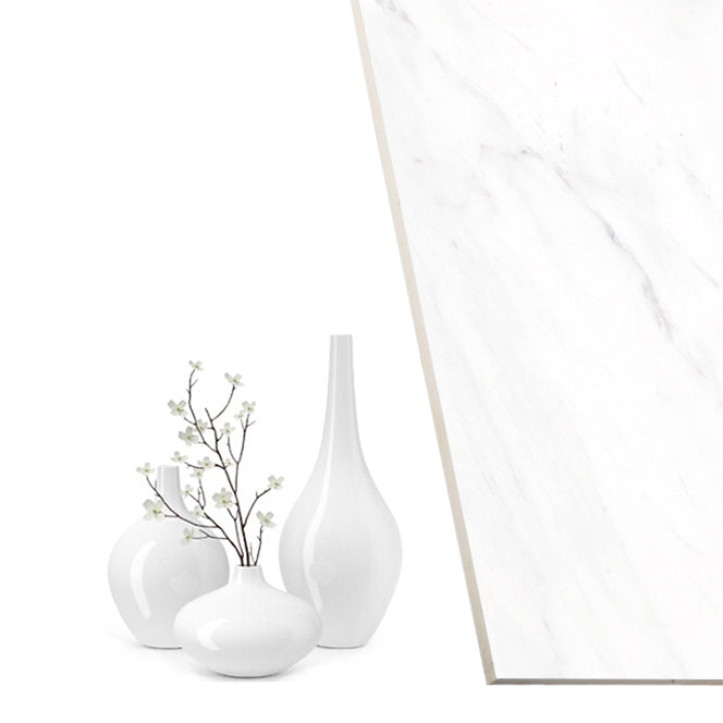 Rectangle Floor Tile Straight Edge Polished Marbling Singular Tile Clearhalo 'Floor Tiles & Wall Tiles' 'floor_tiles_wall_tiles' 'Flooring 'Home Improvement' 'home_improvement' 'home_improvement_floor_tiles_wall_tiles' Walls and Ceiling' 7119475