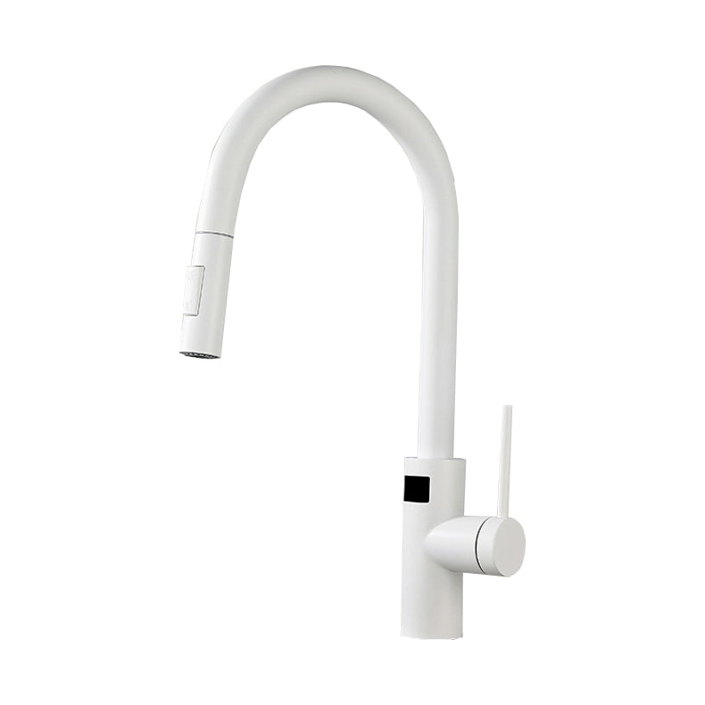 Swivel Spout Kitchen Faucet Touch Sensor 304 Stainless Steel with Pull Down Sprayer Clearhalo 'Home Improvement' 'home_improvement' 'home_improvement_kitchen_faucets' 'Kitchen Faucets' 'Kitchen Remodel & Kitchen Fixtures' 'Kitchen Sinks & Faucet Components' 'kitchen_faucets' 7119911