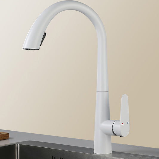 Contemporary High-Arc Kitchen Faucet Swivel Spout with Pull Down Sprayer Clearhalo 'Home Improvement' 'home_improvement' 'home_improvement_kitchen_faucets' 'Kitchen Faucets' 'Kitchen Remodel & Kitchen Fixtures' 'Kitchen Sinks & Faucet Components' 'kitchen_faucets' 7119991