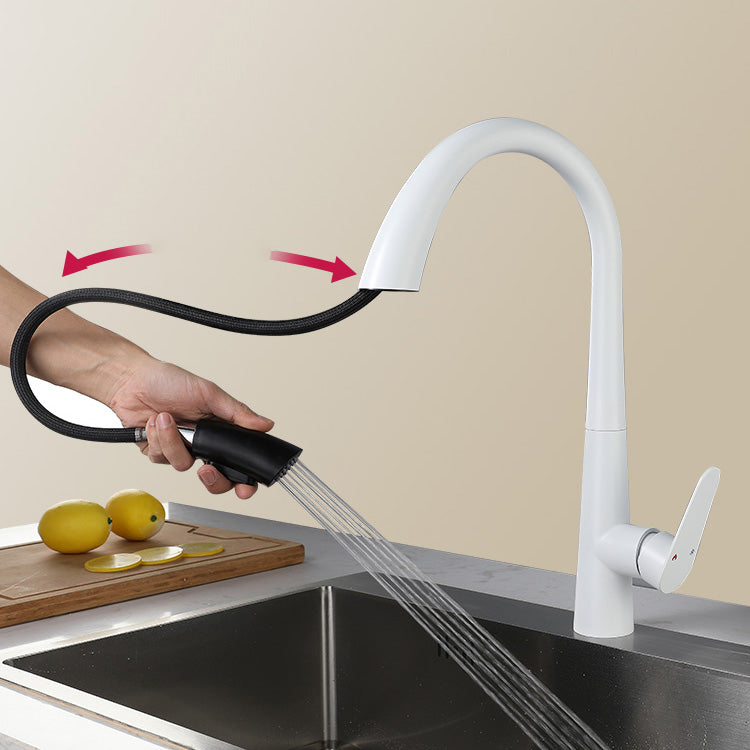 Contemporary High-Arc Kitchen Faucet Swivel Spout with Pull Down Sprayer Clearhalo 'Home Improvement' 'home_improvement' 'home_improvement_kitchen_faucets' 'Kitchen Faucets' 'Kitchen Remodel & Kitchen Fixtures' 'Kitchen Sinks & Faucet Components' 'kitchen_faucets' 7119994