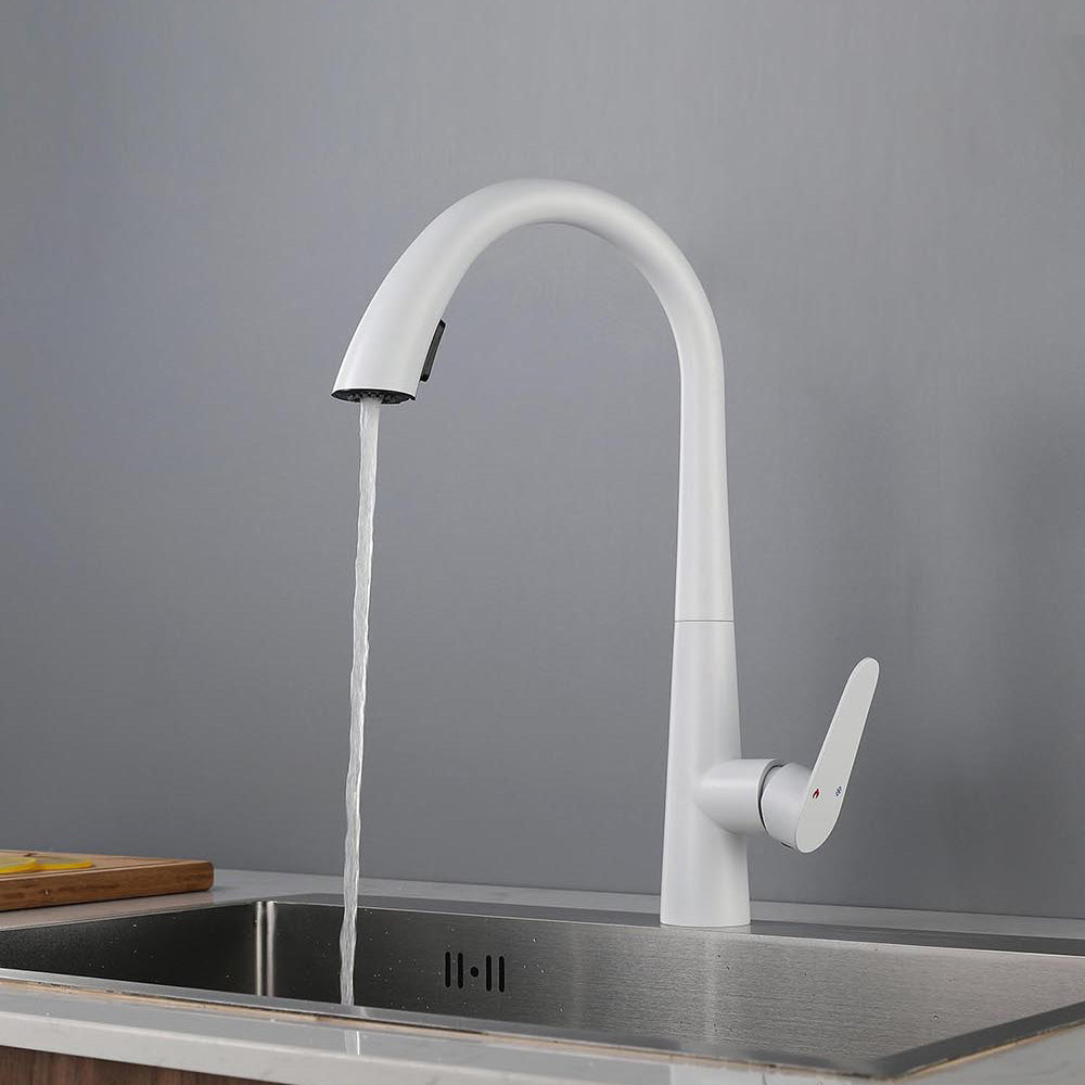 Contemporary High-Arc Kitchen Faucet Swivel Spout with Pull Down Sprayer Clearhalo 'Home Improvement' 'home_improvement' 'home_improvement_kitchen_faucets' 'Kitchen Faucets' 'Kitchen Remodel & Kitchen Fixtures' 'Kitchen Sinks & Faucet Components' 'kitchen_faucets' 7119996