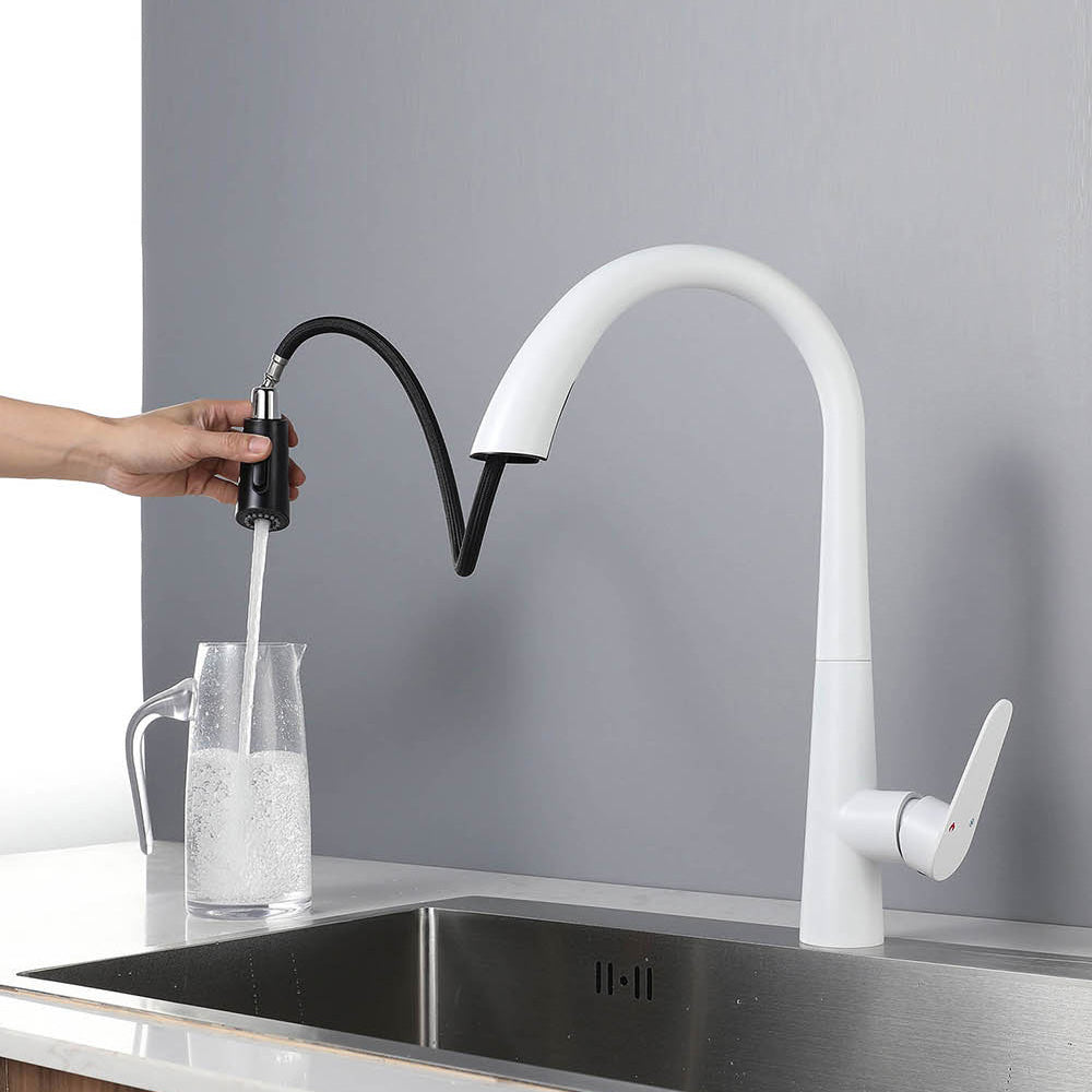 Contemporary High-Arc Kitchen Faucet Swivel Spout with Pull Down Sprayer Clearhalo 'Home Improvement' 'home_improvement' 'home_improvement_kitchen_faucets' 'Kitchen Faucets' 'Kitchen Remodel & Kitchen Fixtures' 'Kitchen Sinks & Faucet Components' 'kitchen_faucets' 7119998
