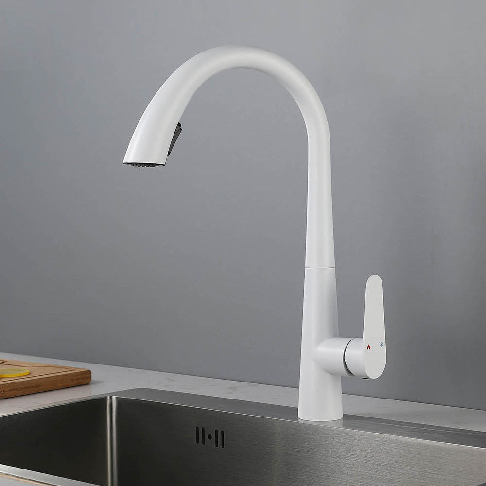 Contemporary High-Arc Kitchen Faucet Swivel Spout with Pull Down Sprayer Clearhalo 'Home Improvement' 'home_improvement' 'home_improvement_kitchen_faucets' 'Kitchen Faucets' 'Kitchen Remodel & Kitchen Fixtures' 'Kitchen Sinks & Faucet Components' 'kitchen_faucets' 7120004