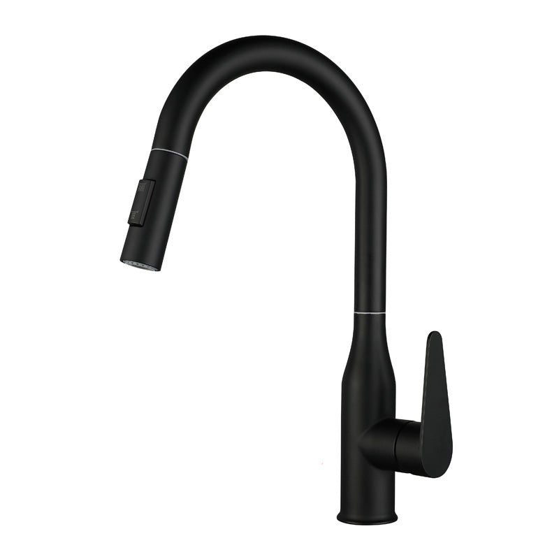 Kitchen Bar Faucet Swivel Spout 304 Stainless Steel with Pull Out Sprayer Black No Sensor Clearhalo 'Home Improvement' 'home_improvement' 'home_improvement_kitchen_faucets' 'Kitchen Faucets' 'Kitchen Remodel & Kitchen Fixtures' 'Kitchen Sinks & Faucet Components' 'kitchen_faucets' 7120075