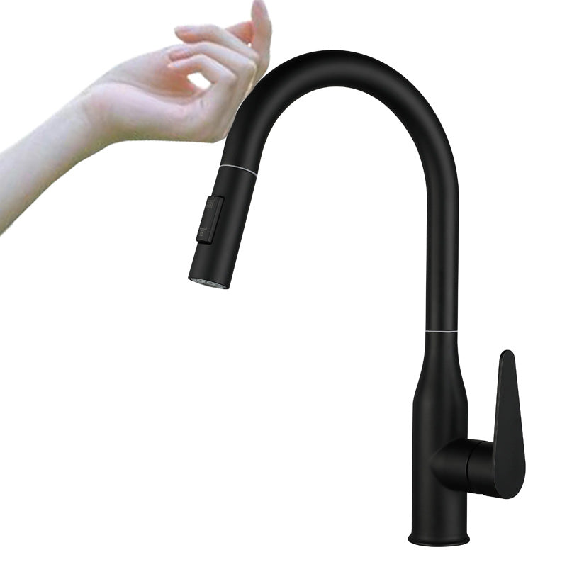 Kitchen Bar Faucet Swivel Spout 304 Stainless Steel with Pull Out Sprayer Black Touch Clearhalo 'Home Improvement' 'home_improvement' 'home_improvement_kitchen_faucets' 'Kitchen Faucets' 'Kitchen Remodel & Kitchen Fixtures' 'Kitchen Sinks & Faucet Components' 'kitchen_faucets' 7120081
