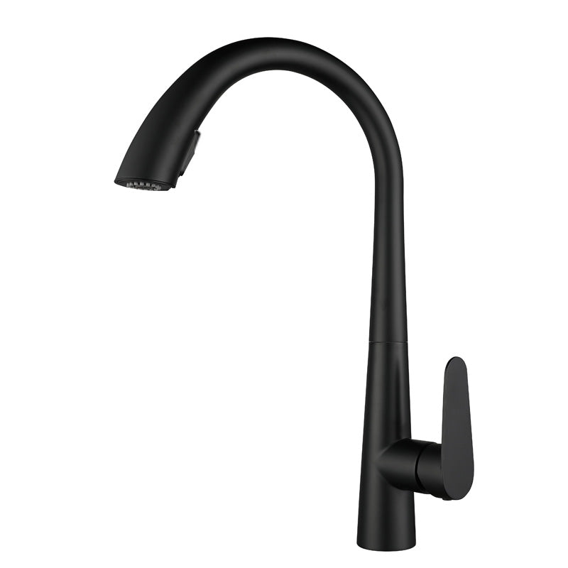 Gooseneck Swivel Spout Kitchen Sink Faucet Touchless Sensor with Pull Down Sprayer Black No Sensor Clearhalo 'Home Improvement' 'home_improvement' 'home_improvement_kitchen_faucets' 'Kitchen Faucets' 'Kitchen Remodel & Kitchen Fixtures' 'Kitchen Sinks & Faucet Components' 'kitchen_faucets' 7120096