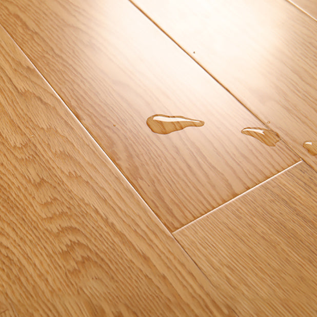 Classics Laminate Floor Click Lock Waterproof Laminate Flooring Clearhalo 'Flooring 'Home Improvement' 'home_improvement' 'home_improvement_laminate_flooring' 'Laminate Flooring' 'laminate_flooring' Walls and Ceiling' 7120300