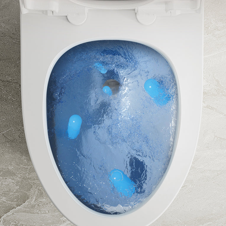 Traditional Toilet Bowl One Piece Toilet Floor Mounted Siphon Jet Toilet Clearhalo 'Bathroom Remodel & Bathroom Fixtures' 'Home Improvement' 'home_improvement' 'home_improvement_toilets' 'Toilets & Bidets' 'Toilets' 7123579