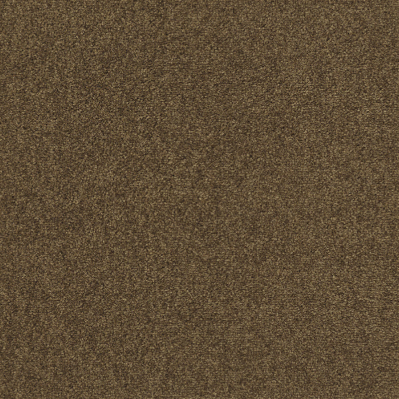 Indoor Carpet Tiles Square Color Block Level Loop Bedroom Carpet Tiles Dark Khaki Clearhalo 'Carpet Tiles & Carpet Squares' 'carpet_tiles_carpet_squares' 'Flooring 'Home Improvement' 'home_improvement' 'home_improvement_carpet_tiles_carpet_squares' Walls and Ceiling' 7127372