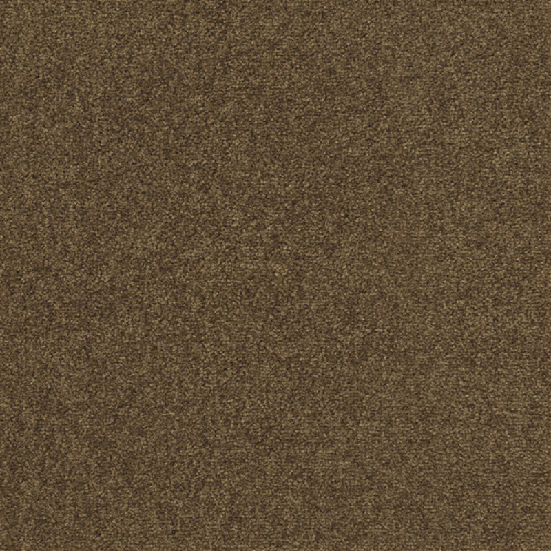 Indoor Carpet Tiles Square Color Block Level Loop Bedroom Carpet Tiles Dark Khaki Clearhalo 'Carpet Tiles & Carpet Squares' 'carpet_tiles_carpet_squares' 'Flooring 'Home Improvement' 'home_improvement' 'home_improvement_carpet_tiles_carpet_squares' Walls and Ceiling' 7127372