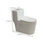 Traditional Toilet Bowl One Piece Toilet Floor Mounted Siphon Jet Flush Toilet Clearhalo 'Bathroom Remodel & Bathroom Fixtures' 'Home Improvement' 'home_improvement' 'home_improvement_toilets' 'Toilets & Bidets' 'Toilets' 7130635