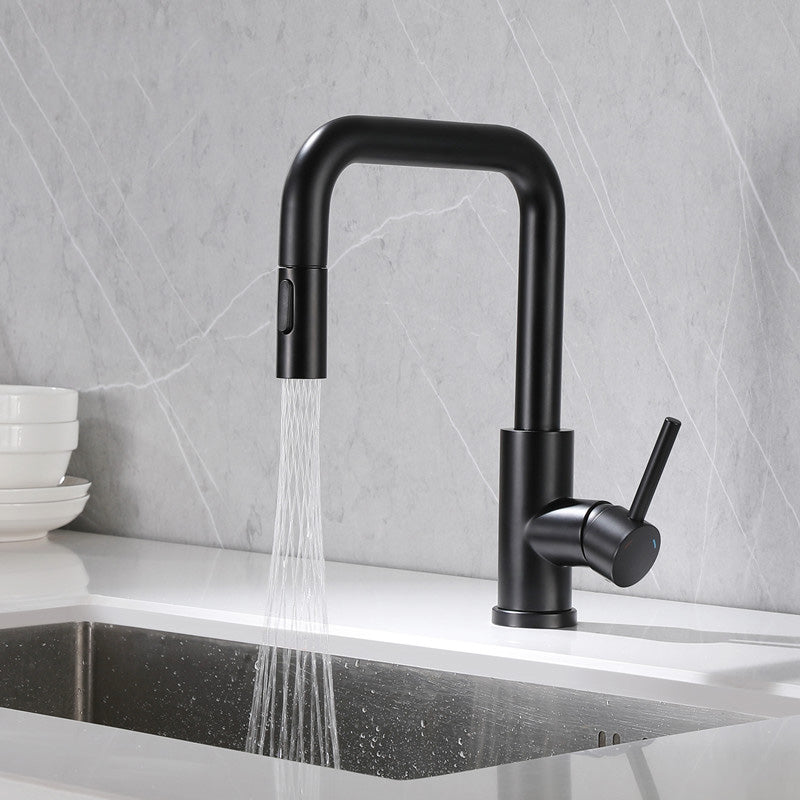 Kitchen Faucet Lever Handle Pull-out Single Hole Brass Faucet Black Clearhalo 'Home Improvement' 'home_improvement' 'home_improvement_kitchen_faucets' 'Kitchen Faucets' 'Kitchen Remodel & Kitchen Fixtures' 'Kitchen Sinks & Faucet Components' 'kitchen_faucets' 7133100
