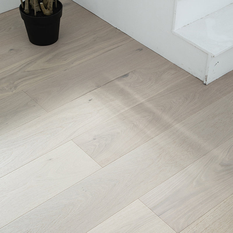 Contemporary Hardwood Flooring Click-Locking Side Trim Piece White Gray Clearhalo 'Flooring 'Hardwood Flooring' 'hardwood_flooring' 'Home Improvement' 'home_improvement' 'home_improvement_hardwood_flooring' Walls and Ceiling' 7133613