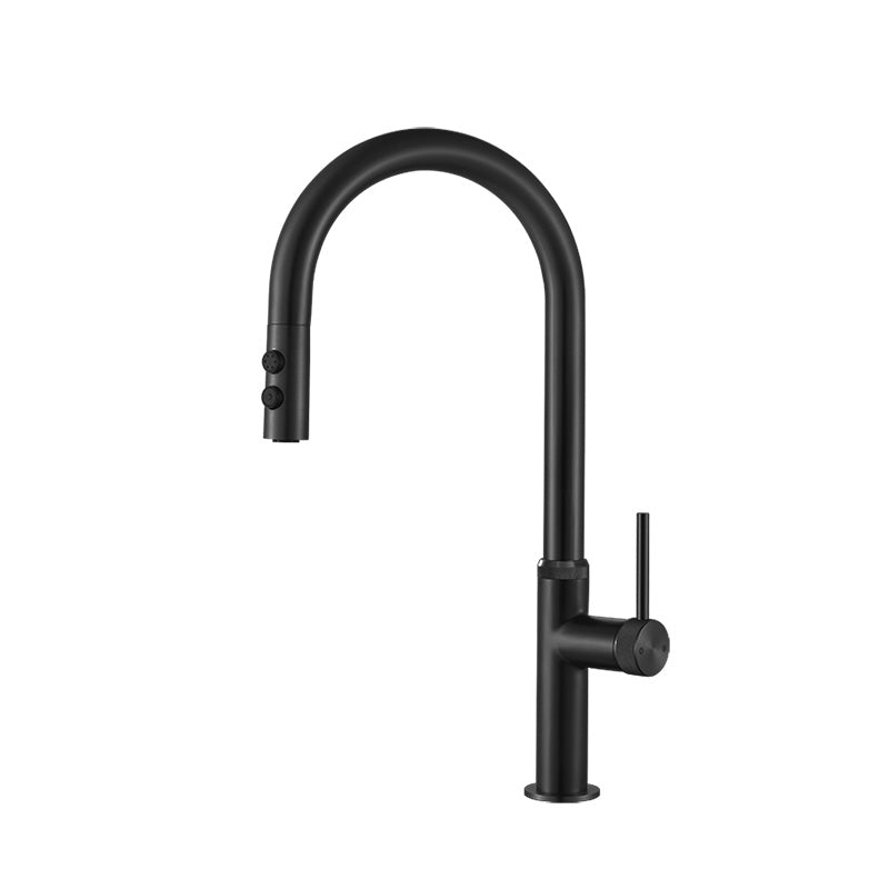Touch Sensor Kitchen Faucet Swivel Spout with Pull Down Sprayer Black No Sensor Clearhalo 'Home Improvement' 'home_improvement' 'home_improvement_kitchen_faucets' 'Kitchen Faucets' 'Kitchen Remodel & Kitchen Fixtures' 'Kitchen Sinks & Faucet Components' 'kitchen_faucets' 7147239