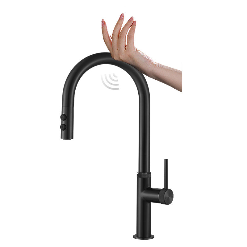 Touch Sensor Kitchen Faucet Swivel Spout with Pull Down Sprayer Black Touch Clearhalo 'Home Improvement' 'home_improvement' 'home_improvement_kitchen_faucets' 'Kitchen Faucets' 'Kitchen Remodel & Kitchen Fixtures' 'Kitchen Sinks & Faucet Components' 'kitchen_faucets' 7147241