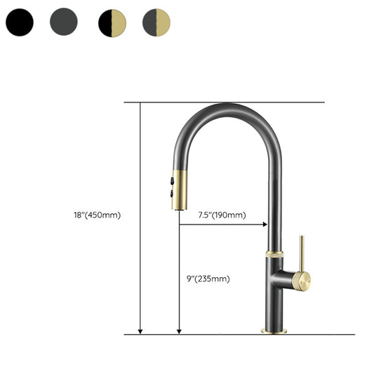 Touch Sensor Kitchen Faucet Swivel Spout with Pull Down Sprayer Clearhalo 'Home Improvement' 'home_improvement' 'home_improvement_kitchen_faucets' 'Kitchen Faucets' 'Kitchen Remodel & Kitchen Fixtures' 'Kitchen Sinks & Faucet Components' 'kitchen_faucets' 7147242