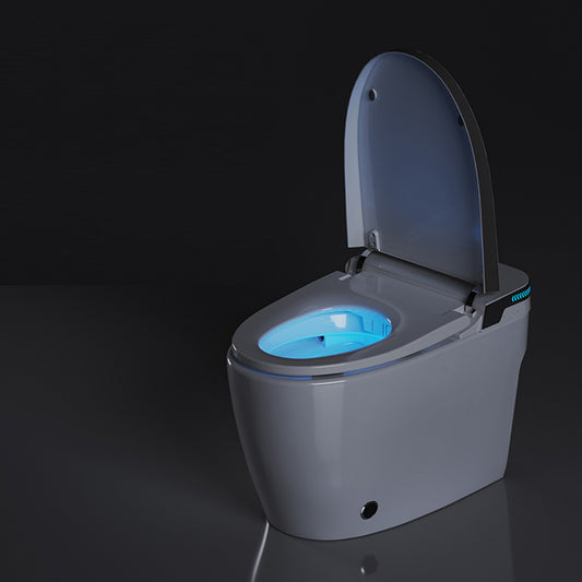 Modern Siphon Jet Toilet Floor Mounted One Piece Toilet Bowl Toilet Clearhalo 'Bathroom Remodel & Bathroom Fixtures' 'Home Improvement' 'home_improvement' 'home_improvement_toilets' 'Toilets & Bidets' 'Toilets' 7158847