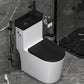 All In One Floor Mounted Toilet Siphon Jet Porcelain Modern Toilet Bowl Black White Toilet with Sprayer Clearhalo 'Bathroom Remodel & Bathroom Fixtures' 'Home Improvement' 'home_improvement' 'home_improvement_toilets' 'Toilets & Bidets' 'Toilets' 7158884