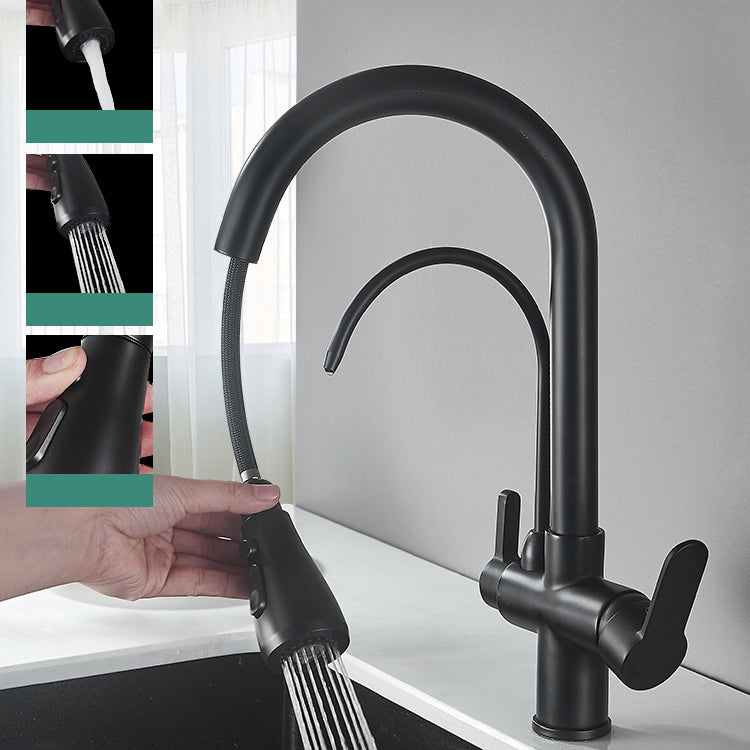 Contemporary Two Handles Kitchen Faucet Double Faucet 1-Hold Faucet Clearhalo 'Home Improvement' 'home_improvement' 'home_improvement_kitchen_faucets' 'Kitchen Faucets' 'Kitchen Remodel & Kitchen Fixtures' 'Kitchen Sinks & Faucet Components' 'kitchen_faucets' 7165042