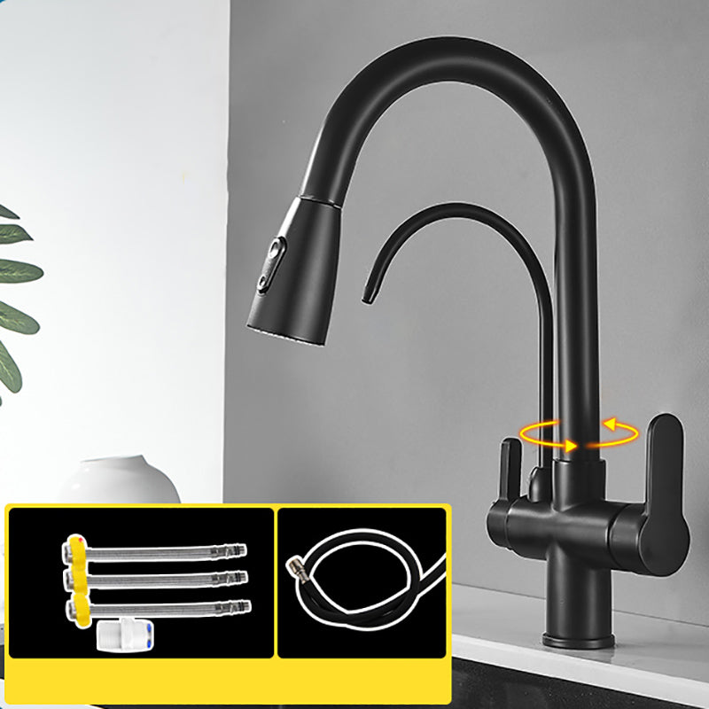 Contemporary Two Handles Kitchen Faucet Double Faucet 1-Hold Faucet Black Dual Mode Clearhalo 'Home Improvement' 'home_improvement' 'home_improvement_kitchen_faucets' 'Kitchen Faucets' 'Kitchen Remodel & Kitchen Fixtures' 'Kitchen Sinks & Faucet Components' 'kitchen_faucets' 7165043