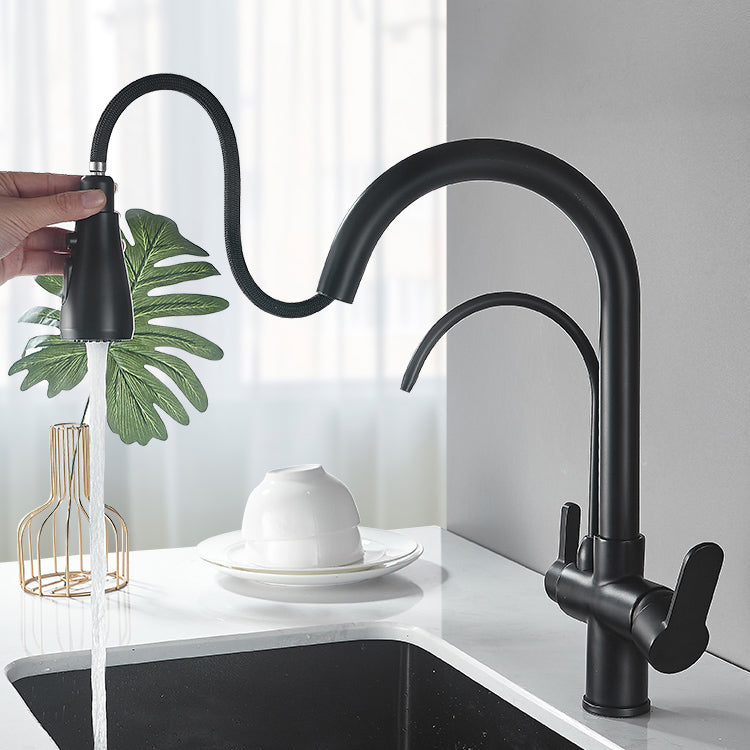 Contemporary Two Handles Kitchen Faucet Double Faucet 1-Hold Faucet Clearhalo 'Home Improvement' 'home_improvement' 'home_improvement_kitchen_faucets' 'Kitchen Faucets' 'Kitchen Remodel & Kitchen Fixtures' 'Kitchen Sinks & Faucet Components' 'kitchen_faucets' 7165045