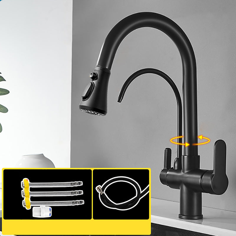 Contemporary Two Handles Kitchen Faucet Double Faucet 1-Hold Faucet Black Tri-Mode Clearhalo 'Home Improvement' 'home_improvement' 'home_improvement_kitchen_faucets' 'Kitchen Faucets' 'Kitchen Remodel & Kitchen Fixtures' 'Kitchen Sinks & Faucet Components' 'kitchen_faucets' 7165048