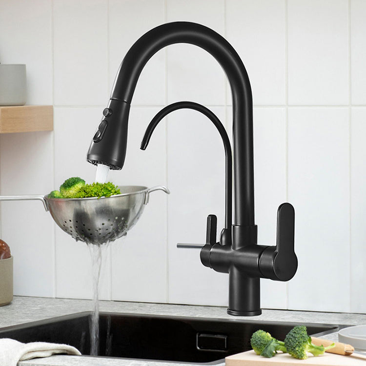 Contemporary Two Handles Kitchen Faucet Double Faucet 1-Hold Faucet Clearhalo 'Home Improvement' 'home_improvement' 'home_improvement_kitchen_faucets' 'Kitchen Faucets' 'Kitchen Remodel & Kitchen Fixtures' 'Kitchen Sinks & Faucet Components' 'kitchen_faucets' 7165049