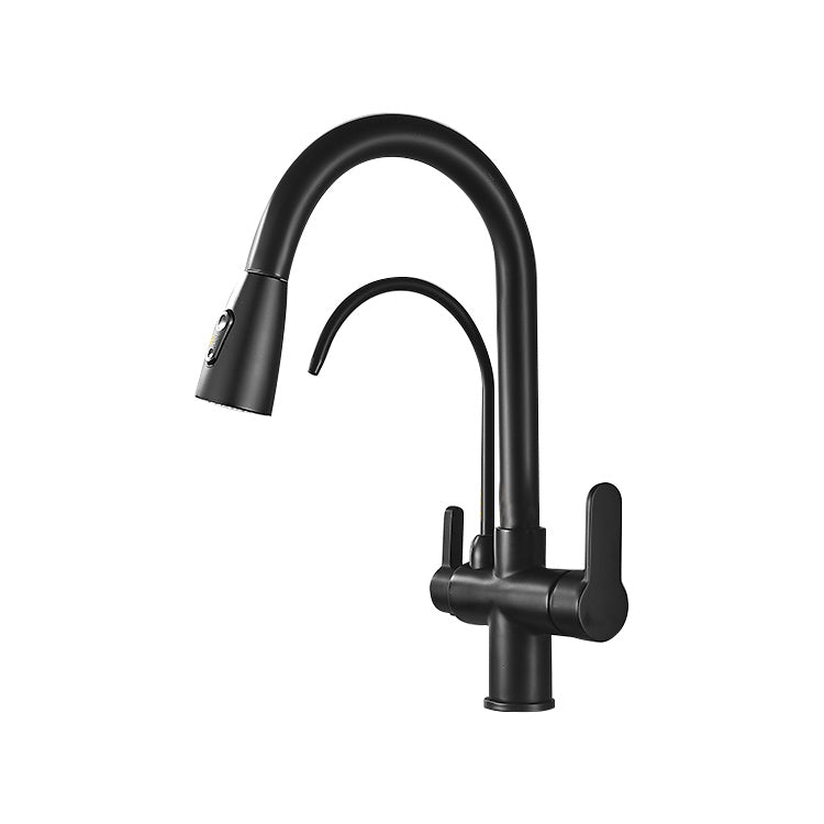 Contemporary Two Handles Kitchen Faucet Double Faucet 1-Hold Faucet Clearhalo 'Home Improvement' 'home_improvement' 'home_improvement_kitchen_faucets' 'Kitchen Faucets' 'Kitchen Remodel & Kitchen Fixtures' 'Kitchen Sinks & Faucet Components' 'kitchen_faucets' 7165051