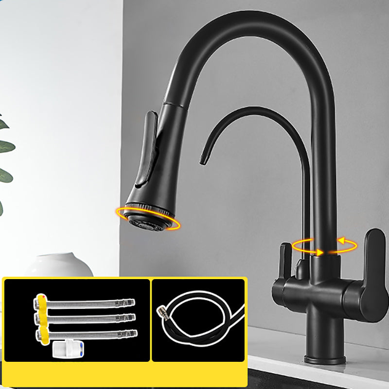 Contemporary Two Handles Kitchen Faucet Double Faucet 1-Hold Faucet Black Four Mode Water Outlet Clearhalo 'Home Improvement' 'home_improvement' 'home_improvement_kitchen_faucets' 'Kitchen Faucets' 'Kitchen Remodel & Kitchen Fixtures' 'Kitchen Sinks & Faucet Components' 'kitchen_faucets' 7165054