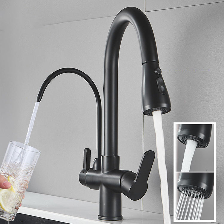 Contemporary Two Handles Kitchen Faucet Double Faucet 1-Hold Faucet Clearhalo 'Home Improvement' 'home_improvement' 'home_improvement_kitchen_faucets' 'Kitchen Faucets' 'Kitchen Remodel & Kitchen Fixtures' 'Kitchen Sinks & Faucet Components' 'kitchen_faucets' 7165059