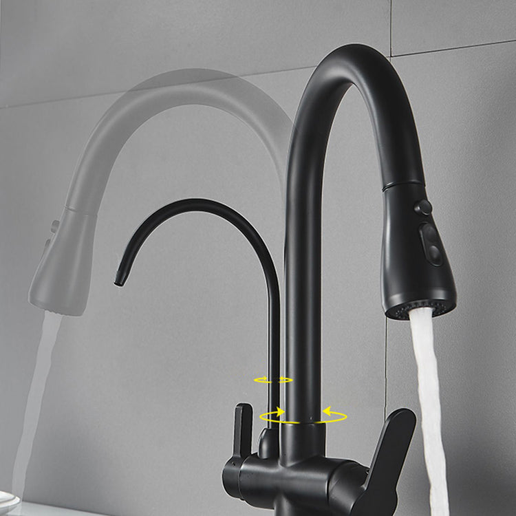 Contemporary Two Handles Kitchen Faucet Double Faucet 1-Hold Faucet Clearhalo 'Home Improvement' 'home_improvement' 'home_improvement_kitchen_faucets' 'Kitchen Faucets' 'Kitchen Remodel & Kitchen Fixtures' 'Kitchen Sinks & Faucet Components' 'kitchen_faucets' 7165060