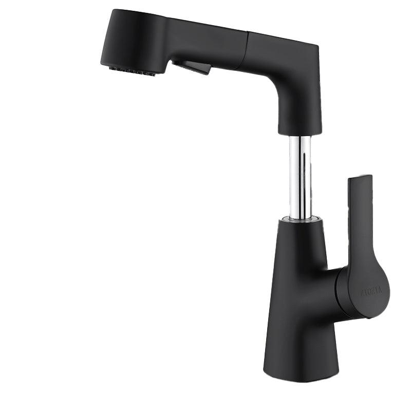 Swivel Spout Sink Faucet Brass Bathroom Low Arc Lifting Faucet Black Clearhalo 'Bathroom Remodel & Bathroom Fixtures' 'Bathroom Sink Faucets' 'Bathroom Sinks & Faucet Components' 'bathroom_sink_faucets' 'Home Improvement' 'home_improvement' 'home_improvement_bathroom_sink_faucets' 7182436